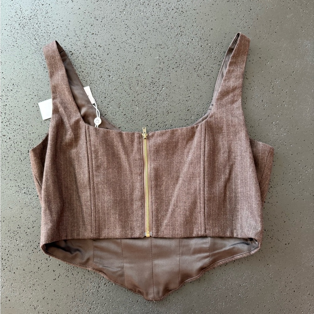 SAGE Pinstripe Brown Zip Closure Corset Size Large NWT - Picture 4 of 6